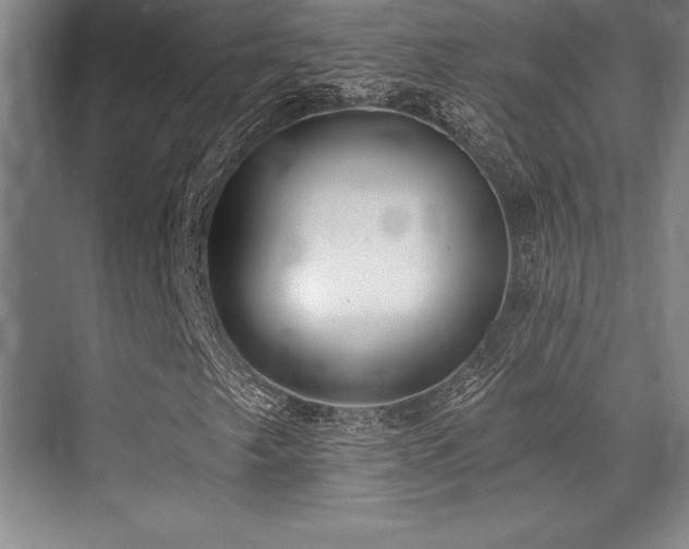 X0000071941249200607071135