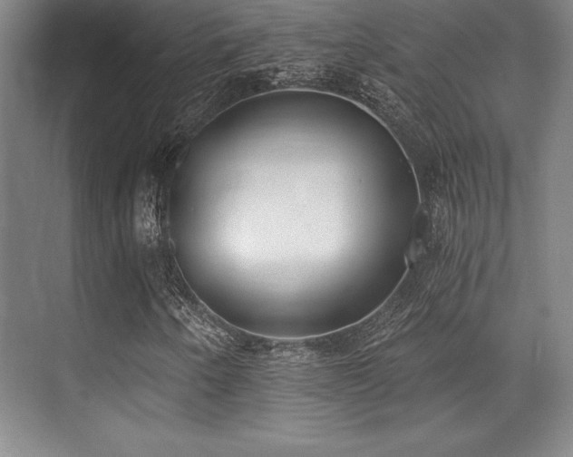 X0000071941250200607071135