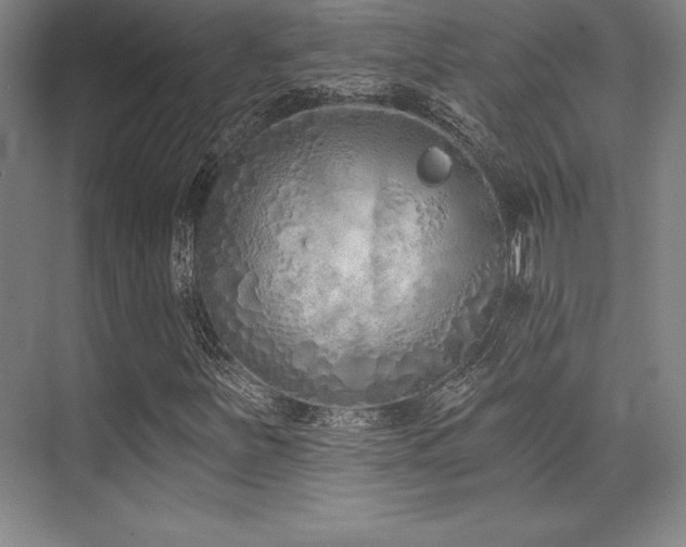 X0000071941251200607071135
