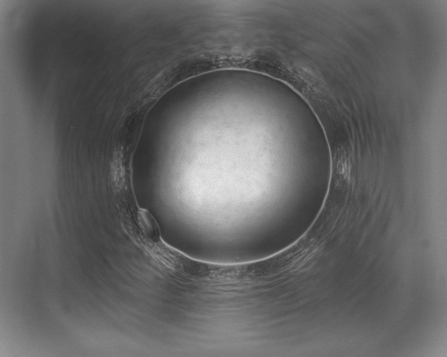 X0000071941252200607071135