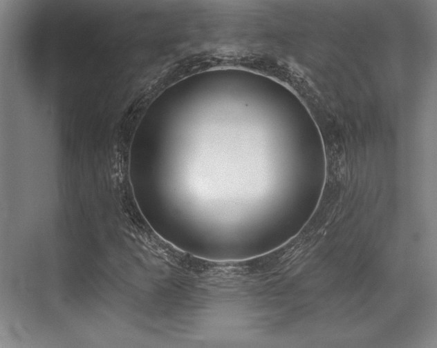 X0000071941253200607071135