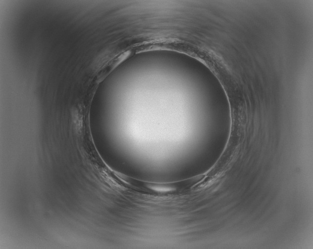 X0000071941257200607071135