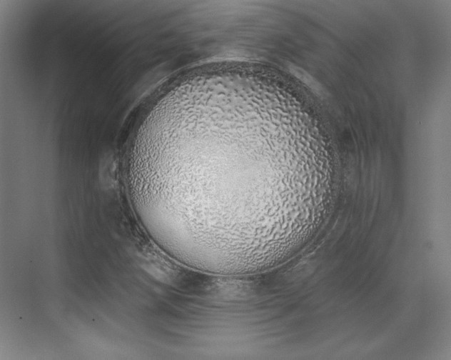X0000071941258200607071135