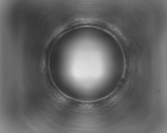 X0000071941261200607071135