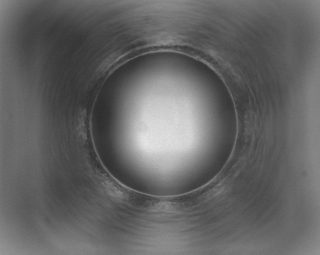 X0000071941265200607071135