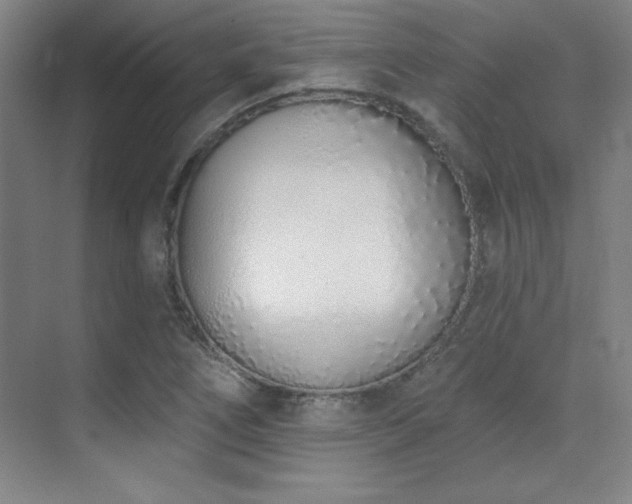 X0000071941266200607071135