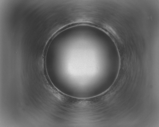 X0000071941268200607071135