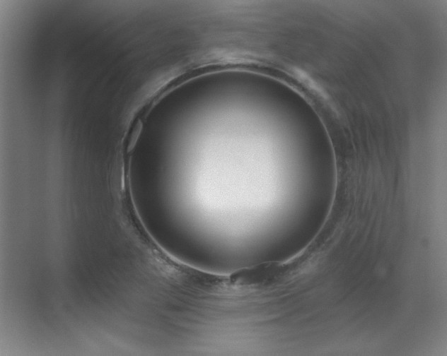 X0000071941269200607071135