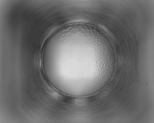 X0000071941274200607071135