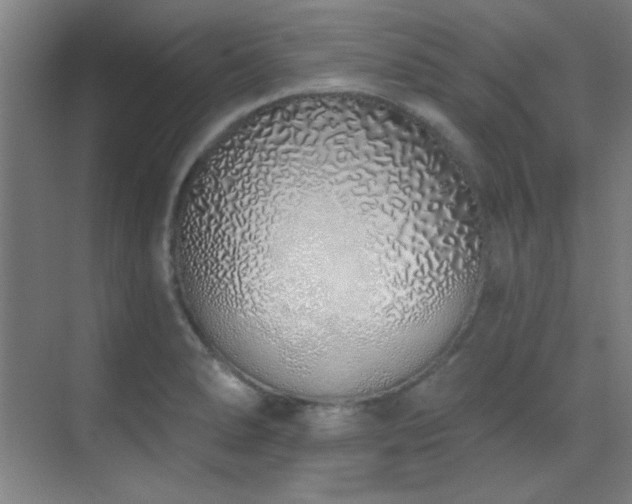 X0000071941278200607071134