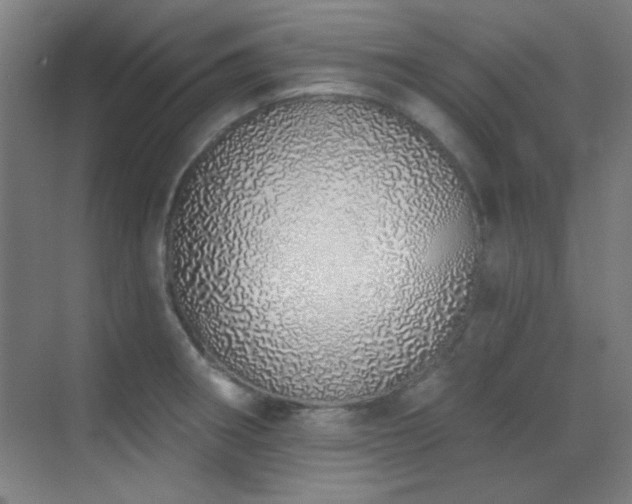 X0000071941282200607071134