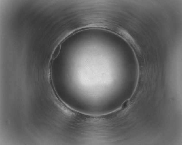 X0000071941284200607071134