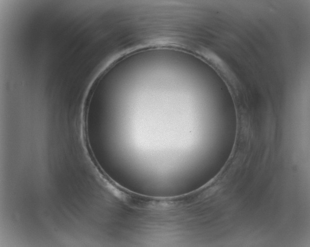 X0000071941286200607071134