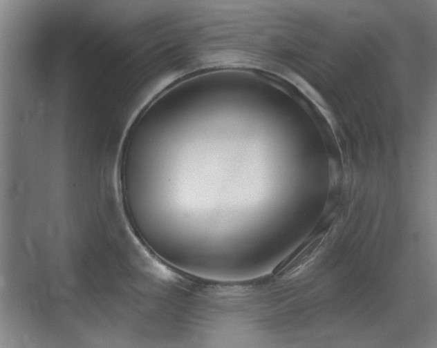 X0000071941293200607071134