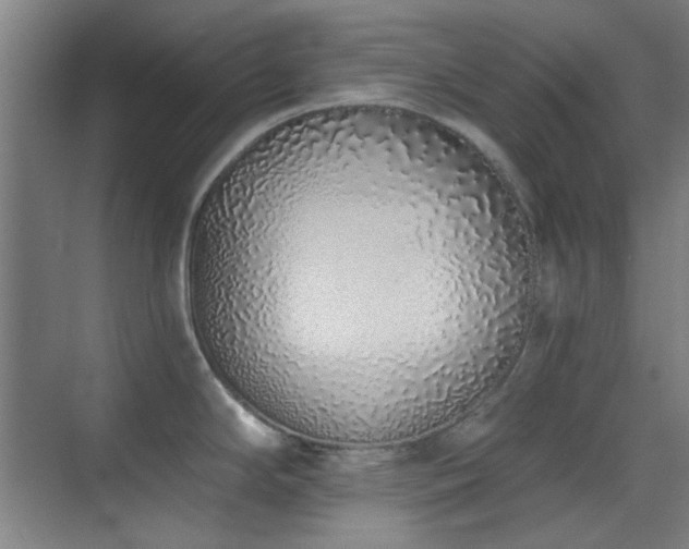 X0000071941294200607071134