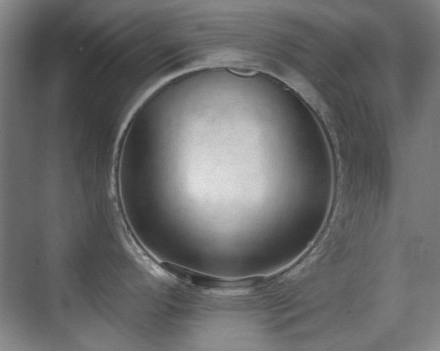 X0000071941296200607071134