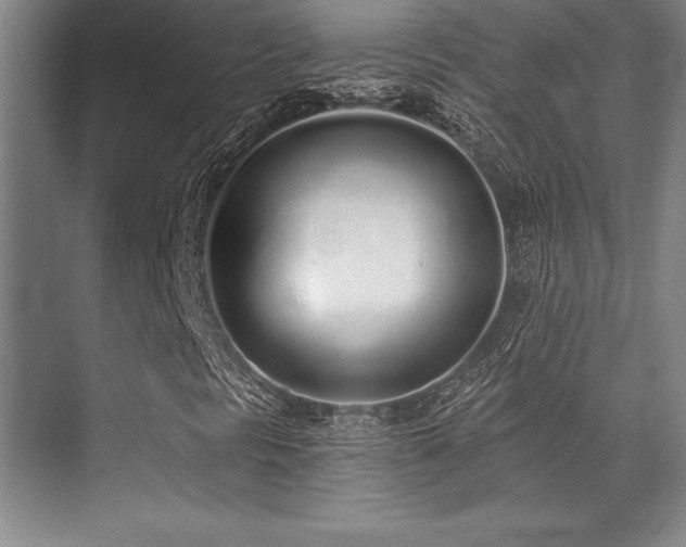 X0000071941297200607071133