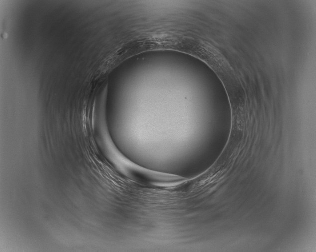 X0000071941298200607071133