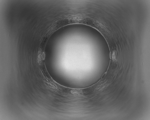 X0000071941299200607071133
