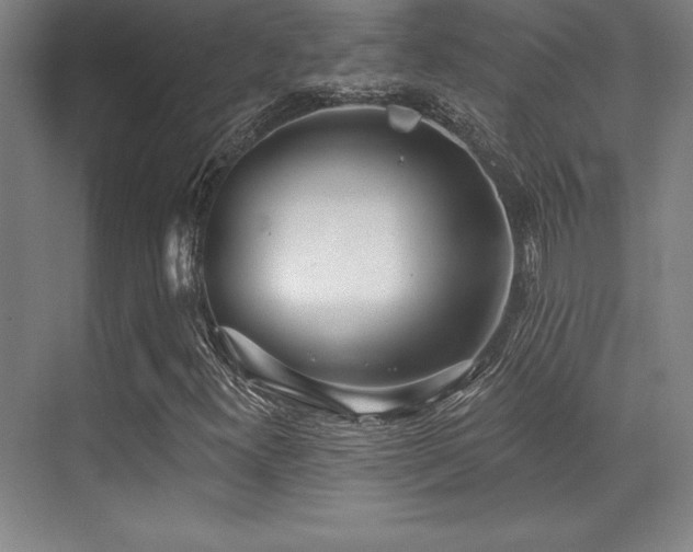 X0000071941300200607071133
