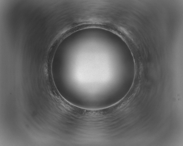 X0000071941307200607071134