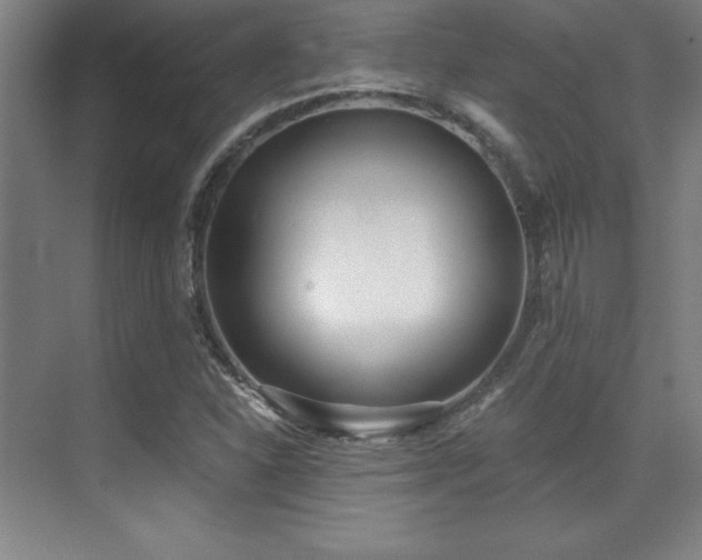 X0000071941310200607071134