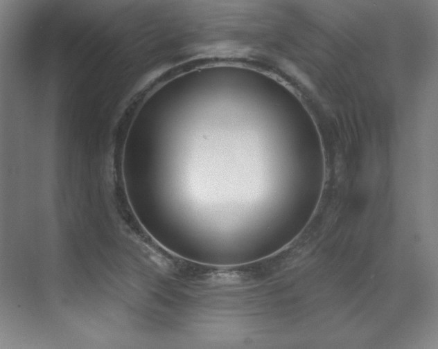 X0000071941315200607071134