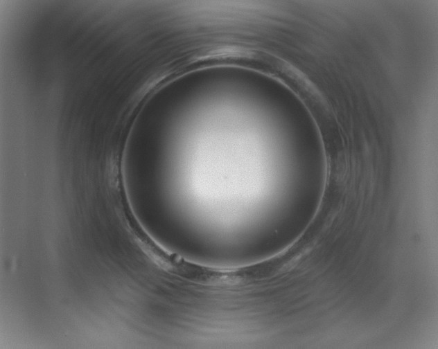 X0000071941321200607071134