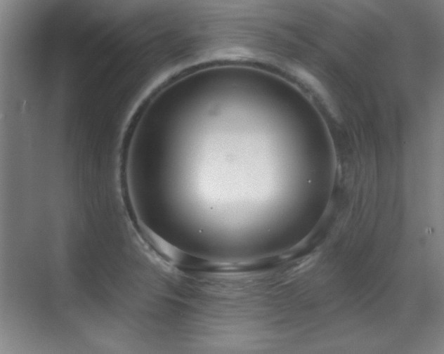 X0000071941326200607071134