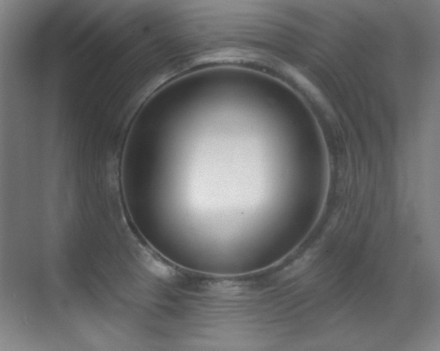X0000071941329200607071134