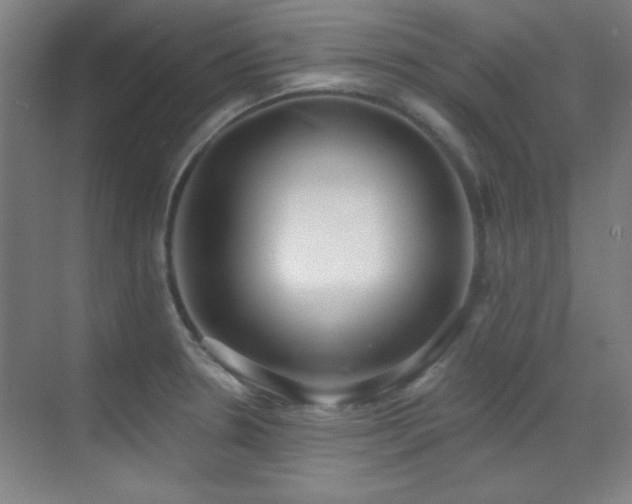 X0000071941330200607071134