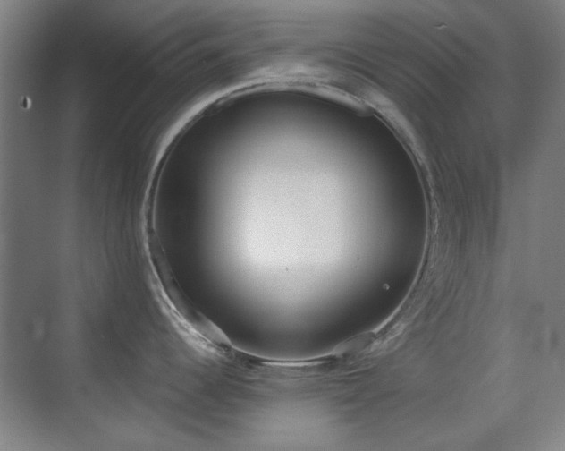 X0000071941344200607071134