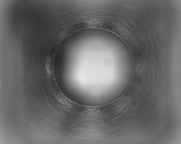 X0000071941346200607071133