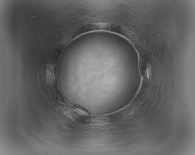 X0000071941347200607071133