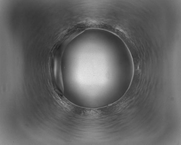 X0000071941348200607071133