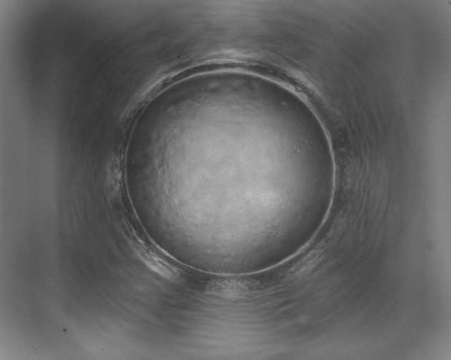 X0000071941355200607071133