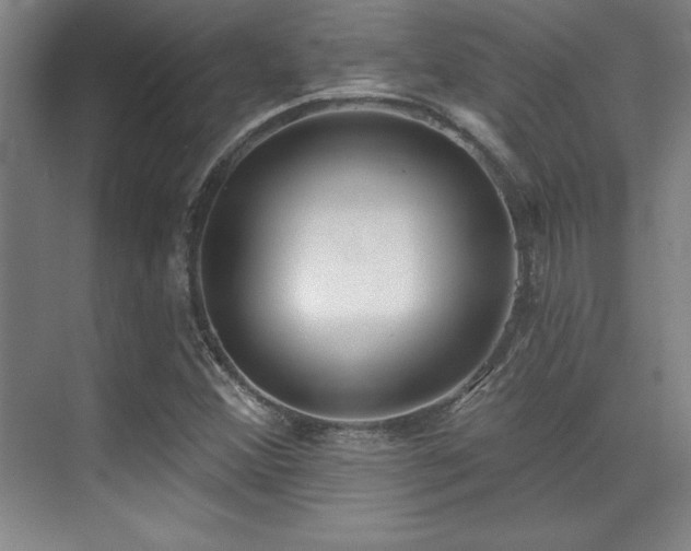 X0000071941356200607071133