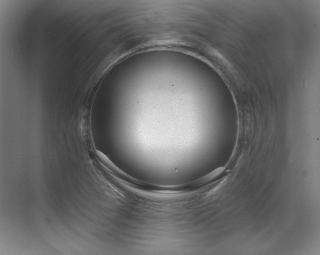 X0000071941361200607071133