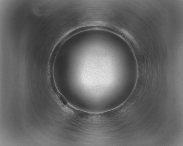 X0000071941364200607071133