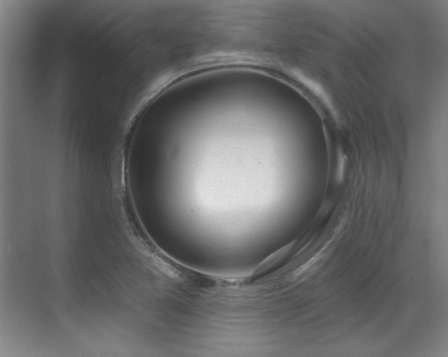 X0000071941365200607071133