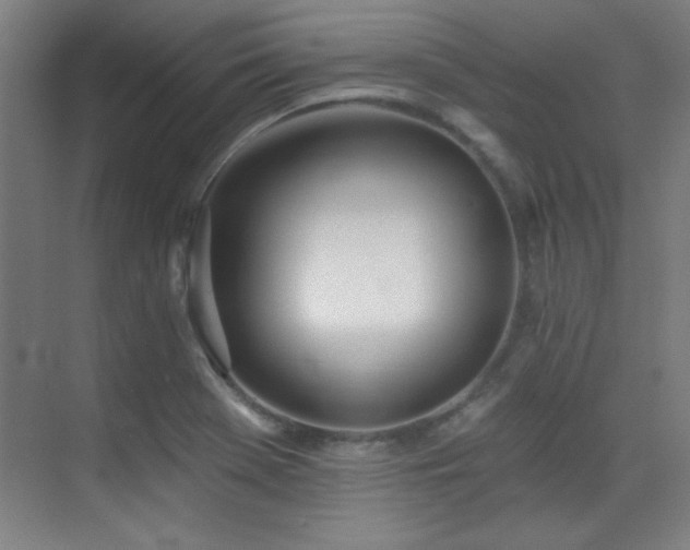 X0000071941369200607071133