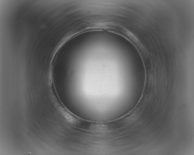 X0000071941370200607071133