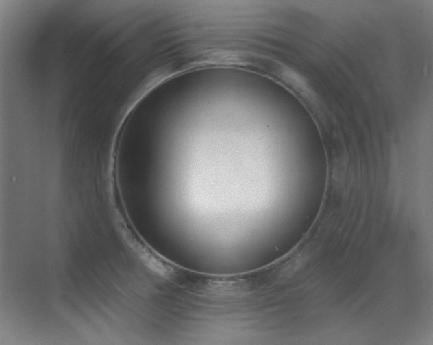 X0000071941378200607071133