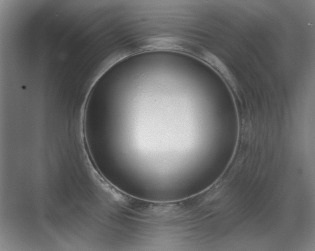 X0000071941386200607071133