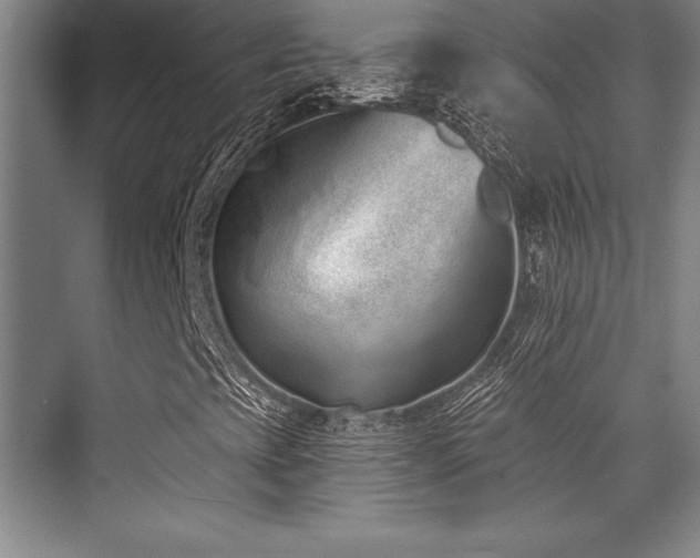X0000071941393200607071132