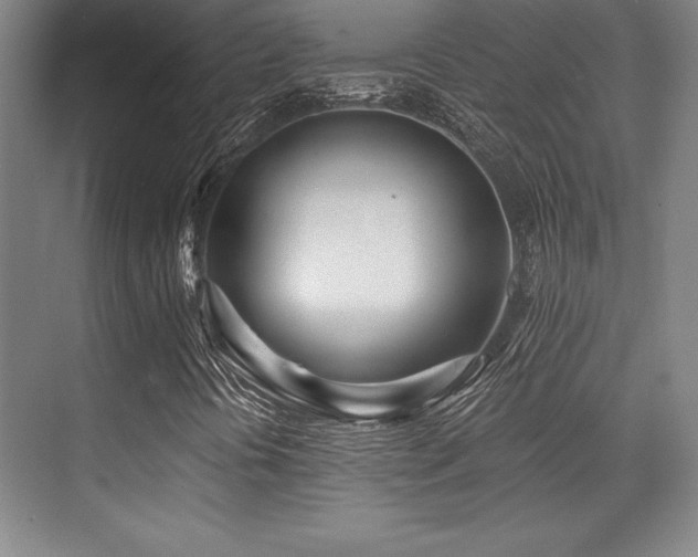 X0000071941394200607071132