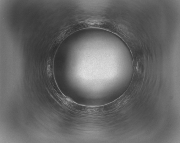 X0000071941396200607071132