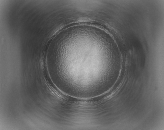 X0000071941401200607071132