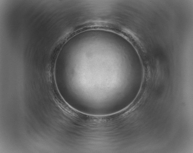 X0000071941403200607071132