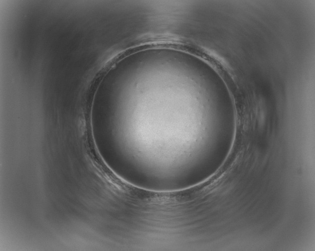 X0000071941407200607071132